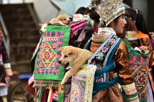 ǭ�|��ˇ�g(sh��)�Ҹ��Ľ��h�_չ�����|(zh��)�Ļ��z�a(ch��n)���}���L(f��ng)���