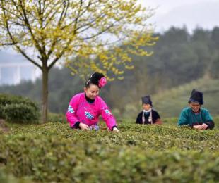 ��կ�h�� ��푾G�����\�� �T���I��Ʒ�|