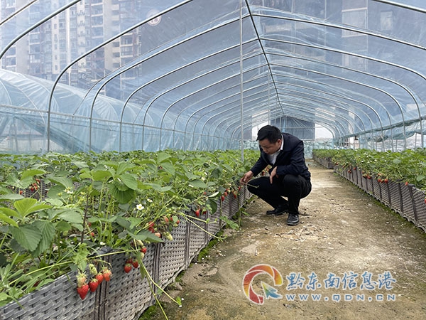 �ճ��鿴��^(q��)��_�Nֲ�Ĳ�ݮ