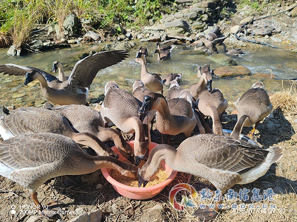 ����患����h���o����ˮ ��ͯ��ȫ�б���