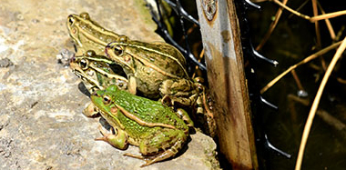 �P�����Ո(q��ng)��(l��i)���ܱ�����2�f(w��n)��ֻ�ڰ��� ������푡��Gɫ�S������