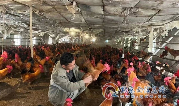 �P���@��� �����B�u��aֵ2500�fԪ