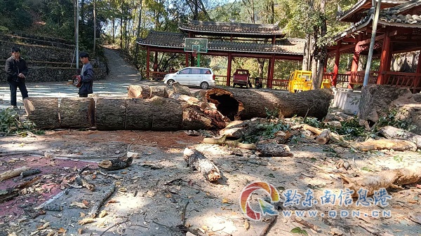 �P�������Ø��2500���Ͳ������G�b��