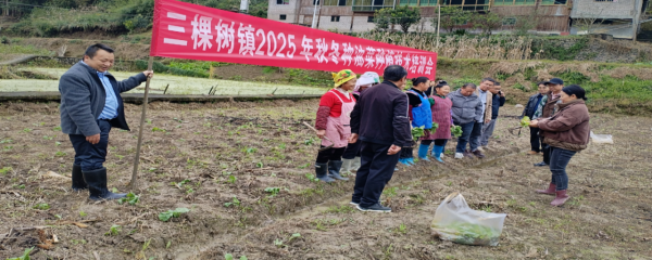 �P�������Ø��2500���Ͳ������G�b��